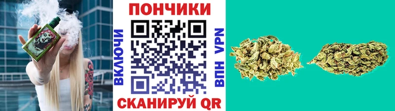 купить закладку  Нижняя Тура  Канабис THC 21% 